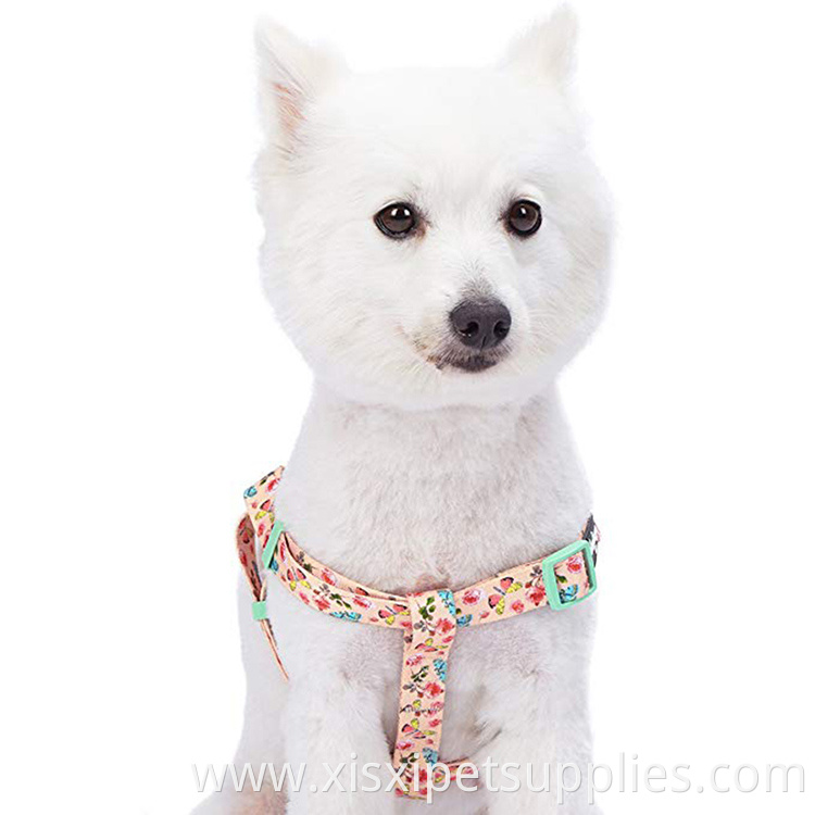 Butterfly and Floral Inspired Sublimation Dog Harness